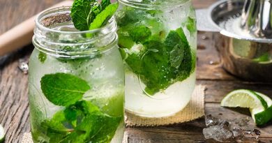 5 Facts about Mojito 5