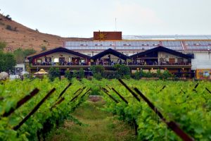 The Best Vineyards and Wineries to Visit in India 2
