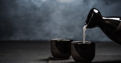 How to drink Japanese Sake hot or cold  ? Kanpai! 13