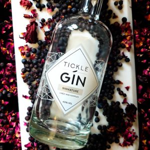 Goa is new hub for India made Gin 2