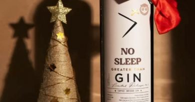 Top 3 Gin Brands in India 2