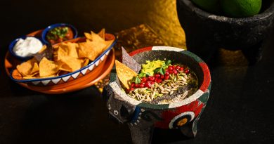 Sanchez: A Culinary Odyssey of Authentic Mexican Flavors and Spirited Delights in Bangalore 3