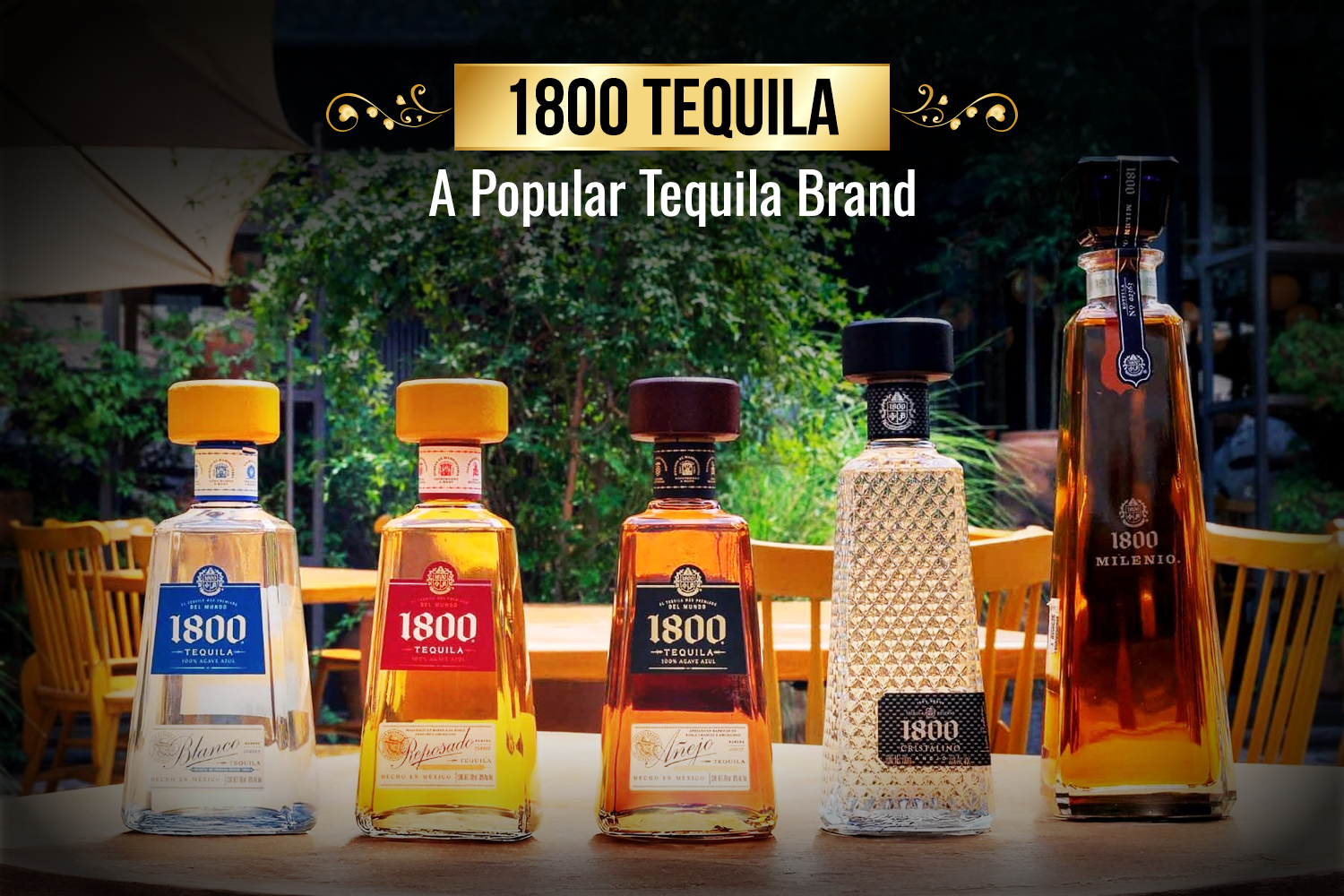 1800 Tequila