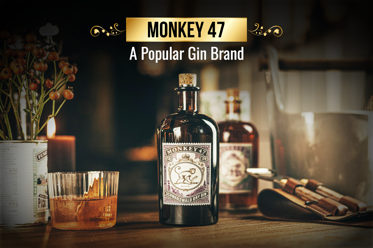 Monkey 47