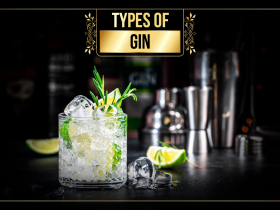 Types of Gin