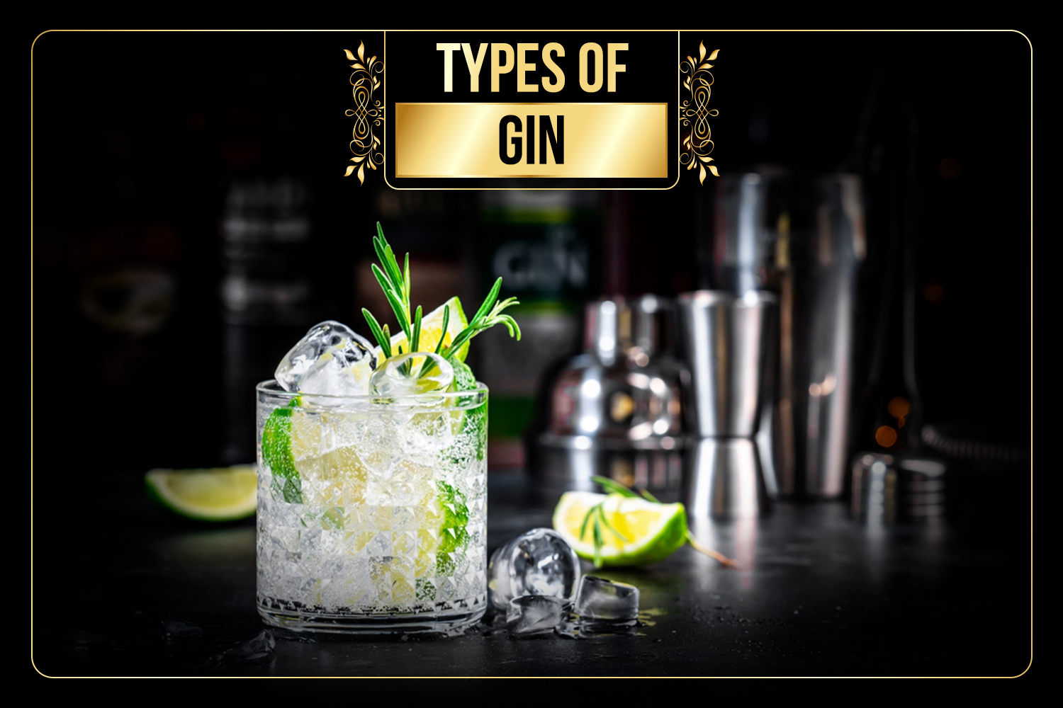 Types of Gin